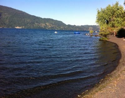 Arriendo Cabaña Frente A Lago en Coñaripe