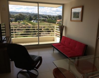 Arriendo Departamento Algarrobo Norte