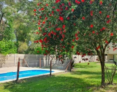 Alquiler Temporal Casa Quinta El Alamo Canning Ezeiza