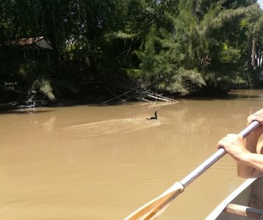 Cabana En Isla Del Tigre