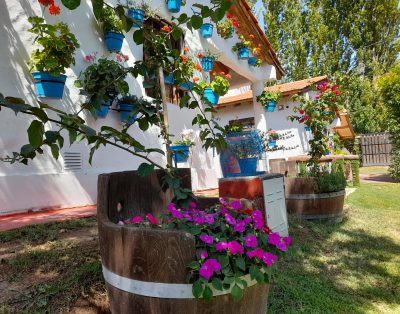 Alquiler Guardia Vieja 267 Complejo de Cabañas en Lujan De Cuyo