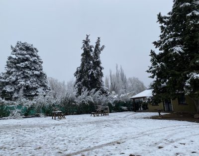 Alquiler Cabañas Aires del Manzano en Tunuyan