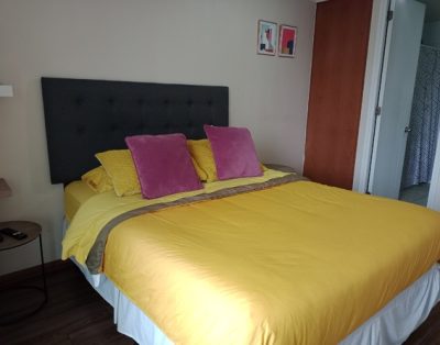 Arriendo departamento por dias. Aparthotel barrio Lastarria. Metro Santa Lucia. Metro Bellas Artes