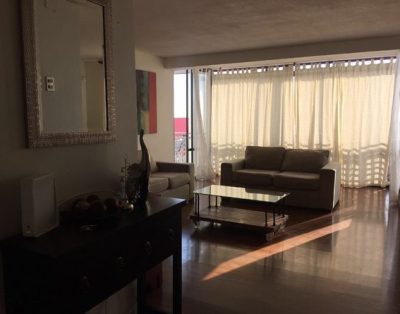 Arriendo departamento diario, sector playa brava