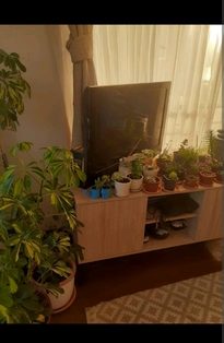 Arriendo habitación matrimonial con baño privado.