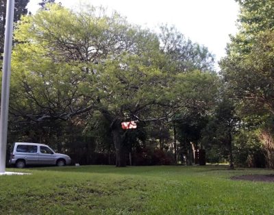 Alquiler El Papalote Casa Vacacional en Villa La Bolsa