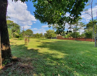 Alquiler Cabañas Selva Verde en Puerto Iguazú