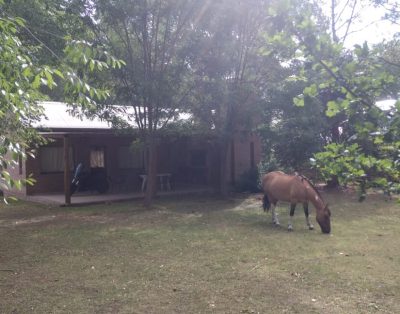 Alquiler La Casa del Lago en Los Molinos