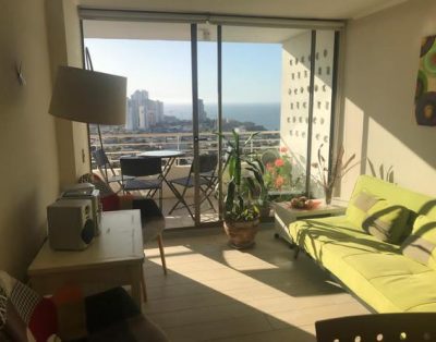 Arriendo por día departamento acogedor 2D 2B