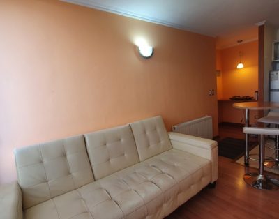 Arriendo Departamento por Días Metro Santa Isabel