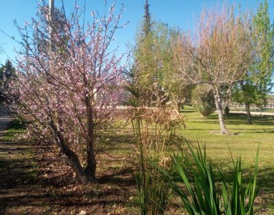 Alquiler FINCA CASIANA en Medano De Oro