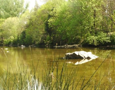 Alquiler Rio Sereno en Santa Rosa De Calamuchita