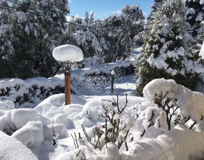 Alquiler La Robustiana en San Carlos De Bariloche