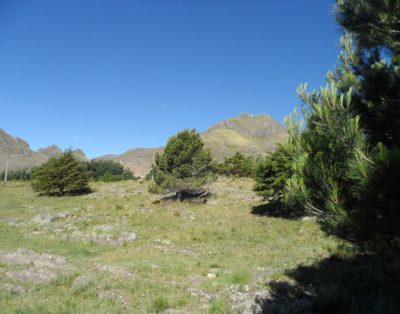 Alquiler El Refugio Carolina Complejo de Cabañas en La Carolina