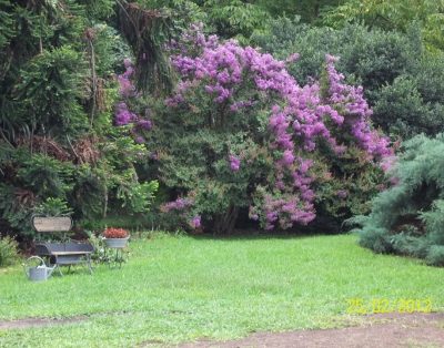 Alquiler Cabañas Chacra Mamuelquen en Chivilcoy