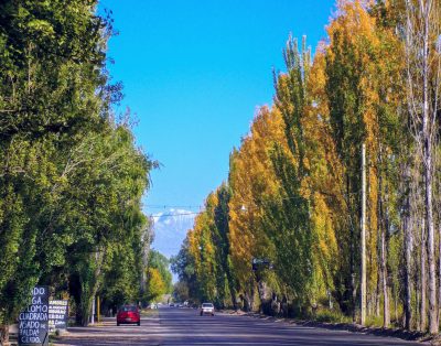 Alquiler De Barro y Caña – Atractivo, diferente y lleno de esencia en Maipu