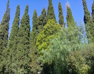 Casa en Las Sierras