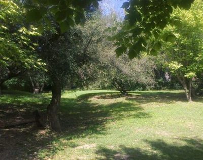 Hermosa Casa para 10 personas, pileta gran parque, excelente ubicación.