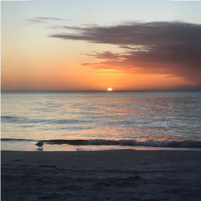 Reñaca, disfruta frente al mar