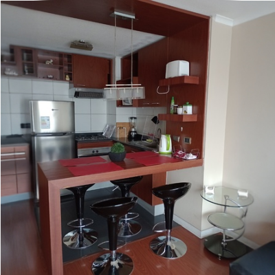 Departamento diario santiago centro