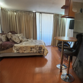 Departamento estudio Providencia Santiago