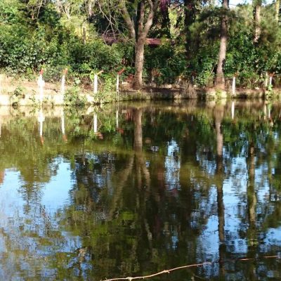 Vem para o paraíso – chácara santa marina atibaia