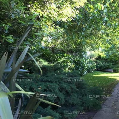 Casa en alquiler temporal en punta del este