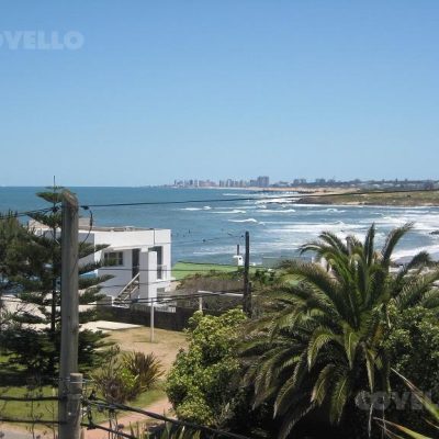 Casa en la barra – temporada 2019