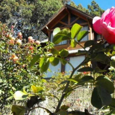 Alquiler cabañas vientos del sur en san carlos de bariloche