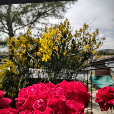 Alquiler la casita en villa carlos paz
