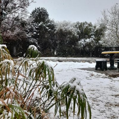 Alquiler nueva posada del sol en cortaderas