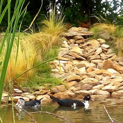 Alquiler cabañas & cottages finca richmond en san rafael