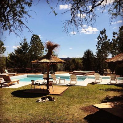 Alquiler cortaderas suites & tenis en nono