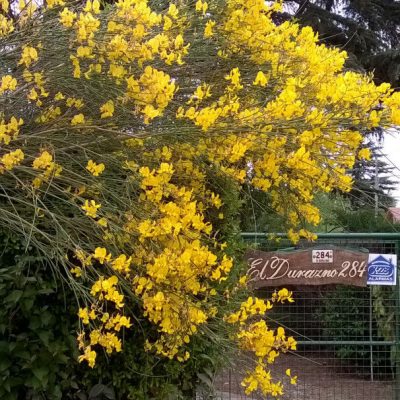 Alquiler la siciliana casa chalet en villa general belgrano