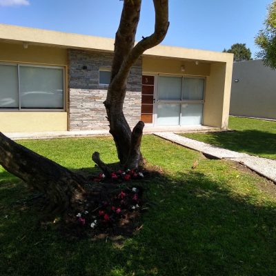 Alquiler cabañas nononino en las gaviotas
