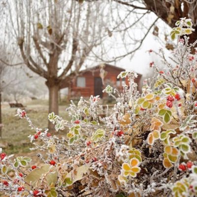 Alquiler cabañas k priccio en potrerillos