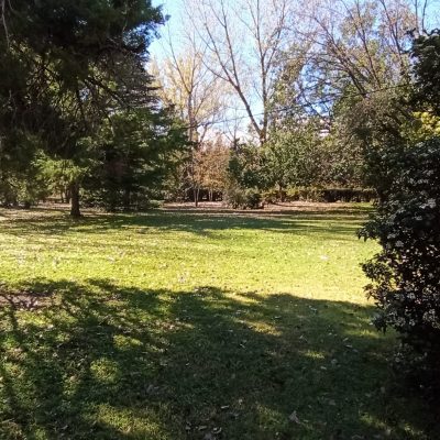 Alquiler posada parque tajamar en las rabonas