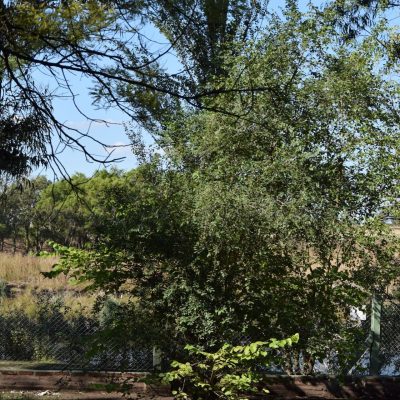 Alquiler cabañas en la ribera en necochea