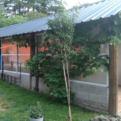 Alquiler dpto playas de oro en villa carlos paz