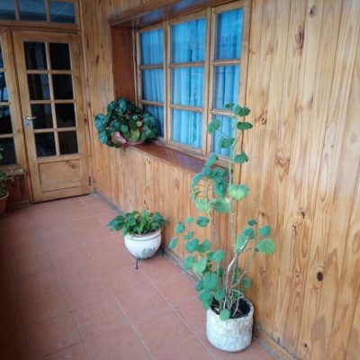 Alquiler departamento del bosque en ushuaia