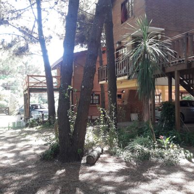 Alquiler bosque rayms en nueva atlantis
