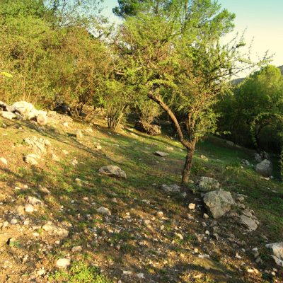 Alquiler cabañas los moradillos en cuesta blanca