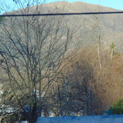 Alquiler cabañas apart el ceibo en huerta grande