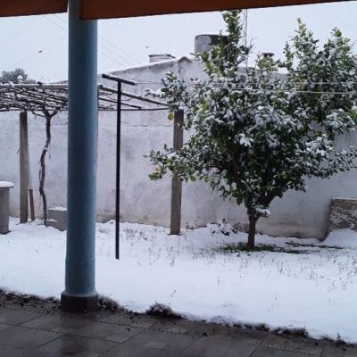 Alquiler alma dorada en huerta grande