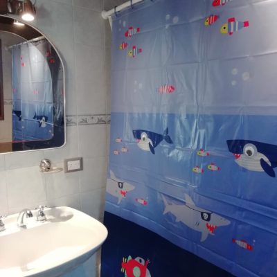 Alquiler la casa del viejo manzano en san martín de los andes