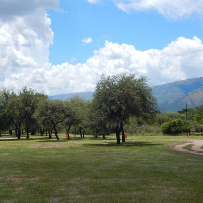Alquiler cabaña molle pispo en los molles