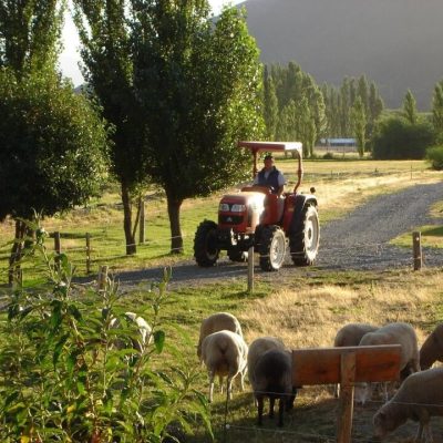 Alquiler elal agroturismo cabañas & monoambiente en el hoyo