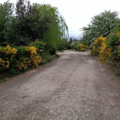 Alquiler cabañas entre lagos y montañas en san carlos de bariloche