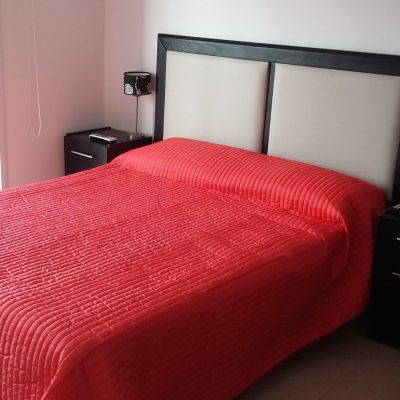 Alquiler departamento mdq limon en mar del plata