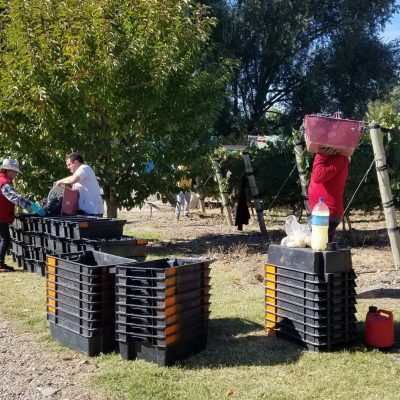 Alquiler cabaña del alto tupungato en tupungato